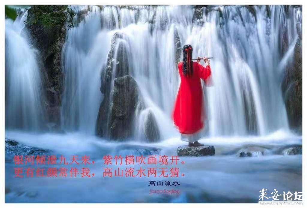 探探猫历险记